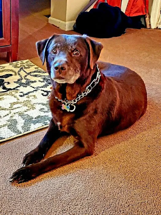 Muskingum Valley Vet Services Picture 8