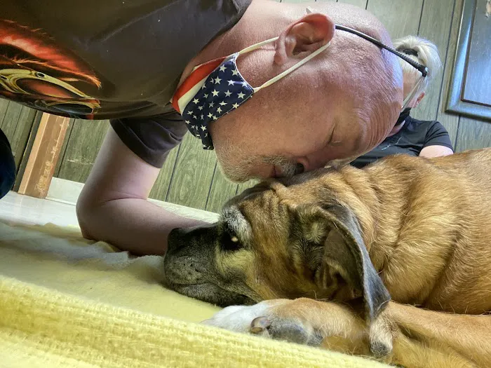 Muskingum Valley Vet Services Picture 10