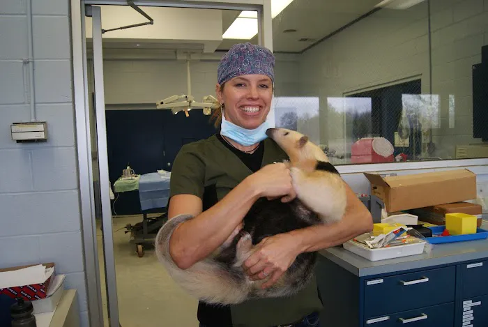 Gandolf Veterinary Surgery Picture 3