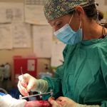 Gandolf Veterinary Surgery