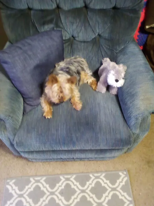 The Plains Veterinary Hospital Picture 9