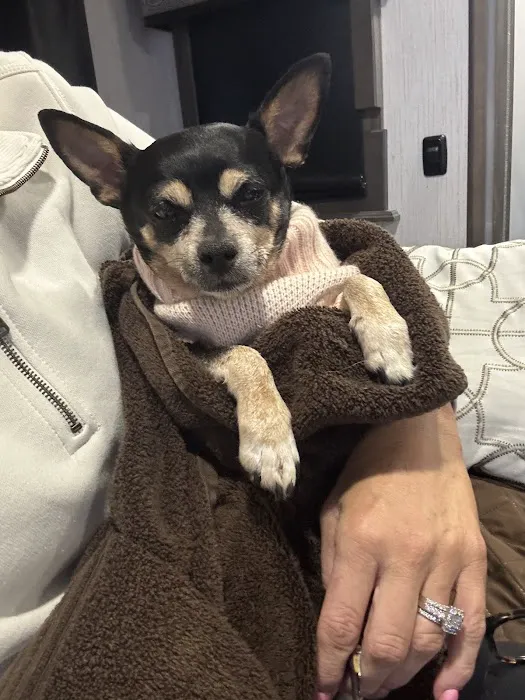 The Plains Veterinary Hospital Picture 4