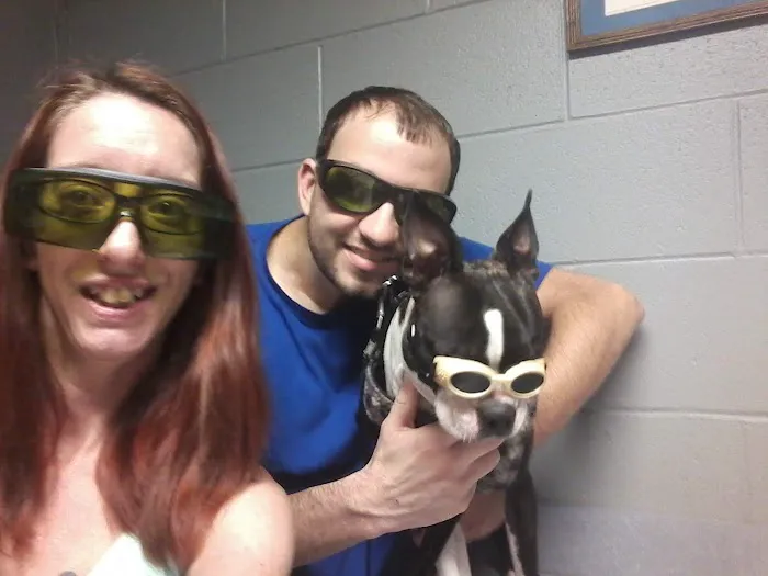Olde Falls Road Sm Animal Clinic Picture 6
