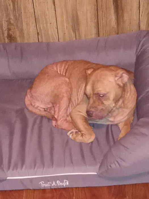 Ohio Valley Animal Clinic of Athens Picture 9