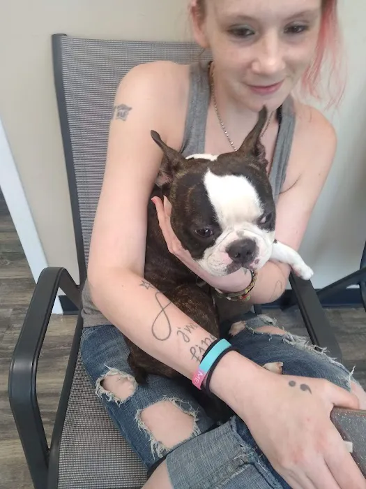 Ohio Valley Animal Clinic of Athens Picture 6