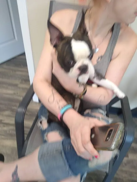 Ohio Valley Animal Clinic of Athens Picture 5