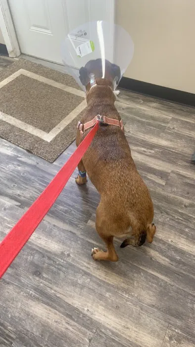 Ohio Valley Animal Clinic of Athens Picture 4