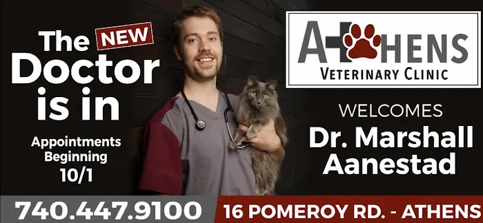 Athens Veterinary Clinic Picture 6