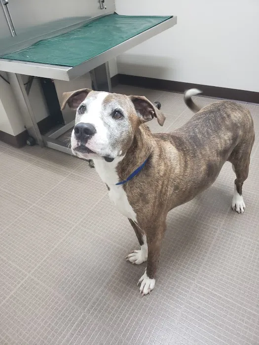 Hocking Hills Animal Clinic Picture 2