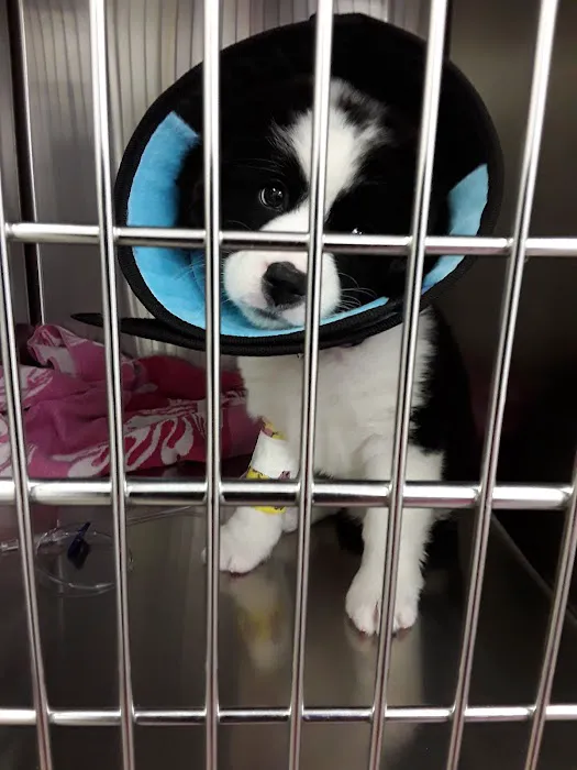 Hocking Hills Animal Clinic Picture 5