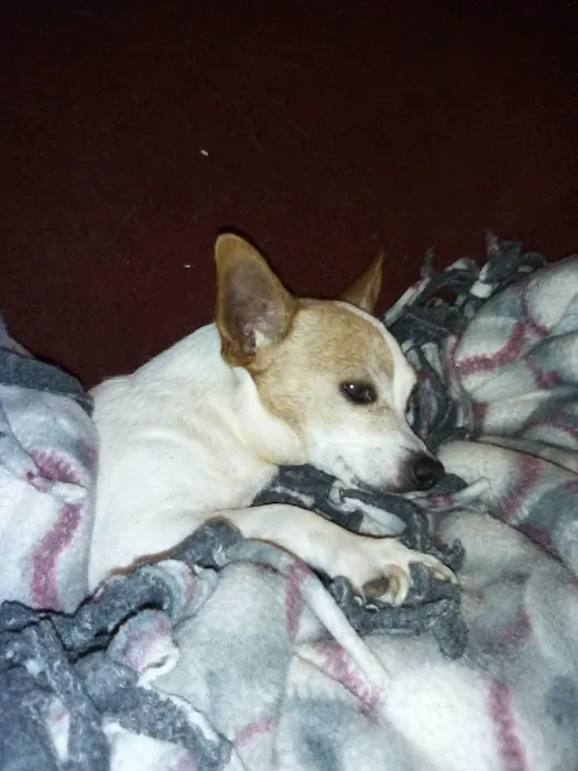 Logan Animal Clinic Picture 2