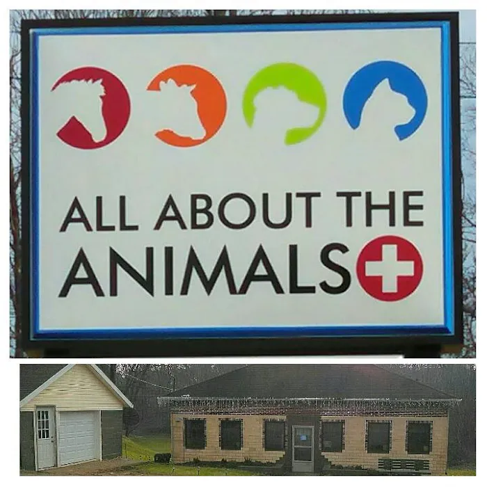 All About the Animals Veterinary Clinic Picture 5
