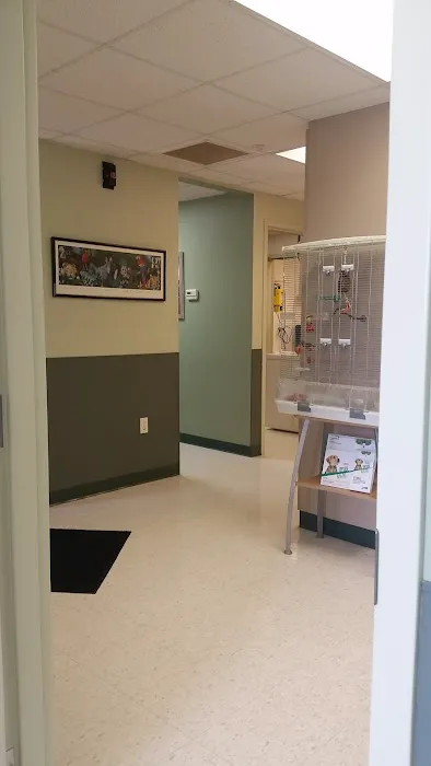 Animal Clinic Wadsworth Picture 2