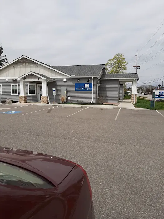 Seville Animal Hospital Picture 10