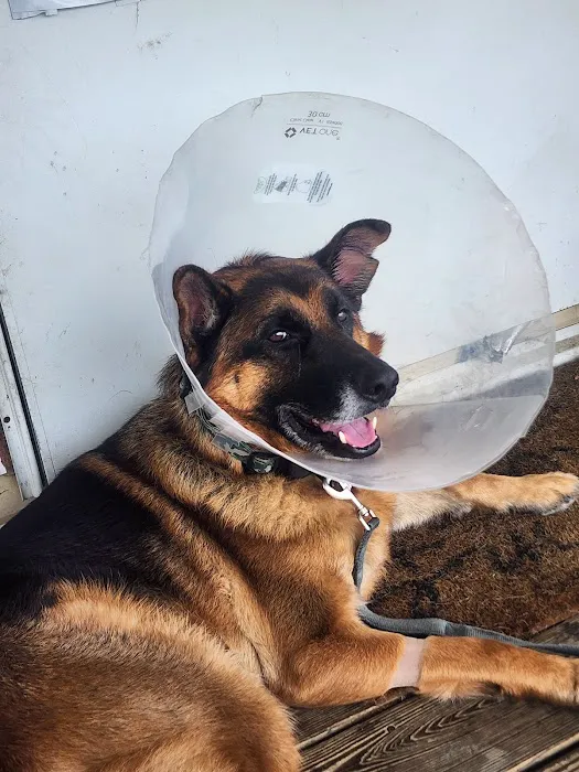 Seville Animal Hospital Picture 1