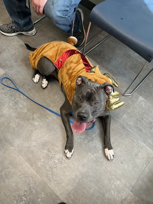 Seville Animal Hospital Picture 8