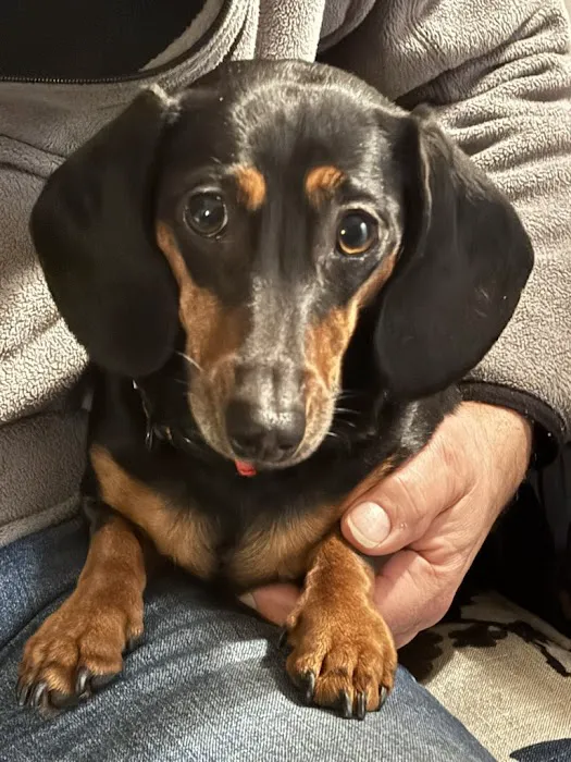 Seville Animal Hospital Picture 6