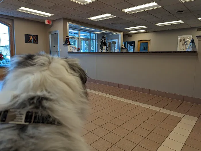 Hunting Ridge Animal Hospital Picture 5