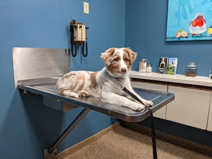 Hunting Ridge Animal Hospital Picture 9