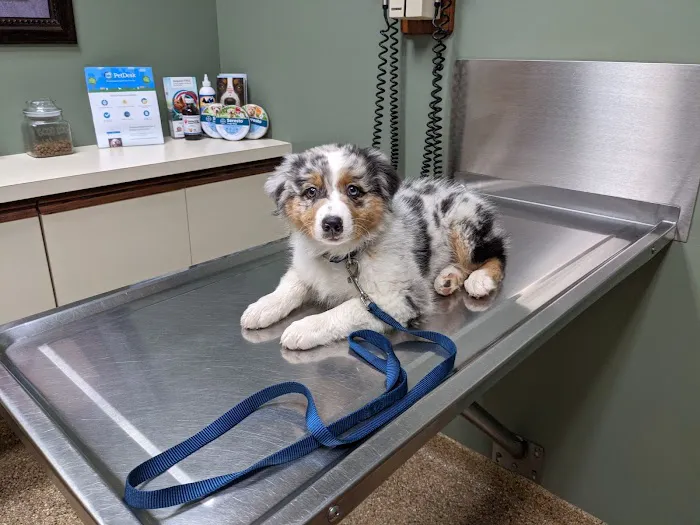 Hunting Ridge Animal Hospital Picture 1