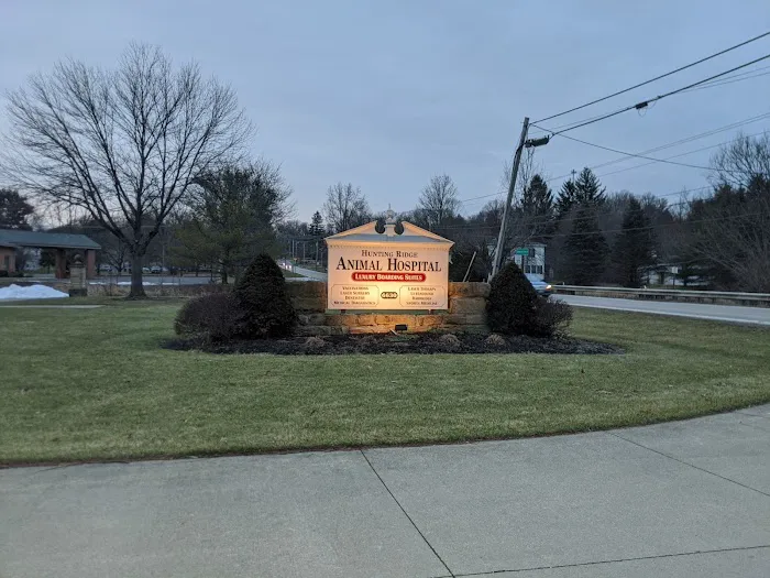 Hunting Ridge Animal Hospital Picture 7