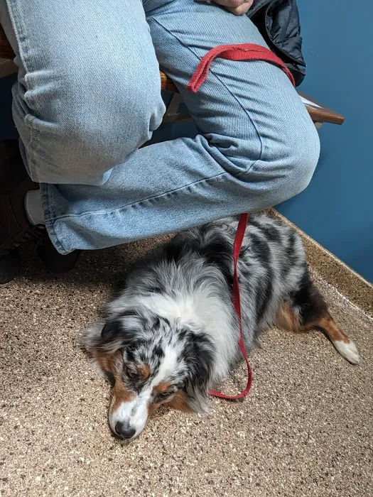 Hunting Ridge Animal Hospital Picture 3