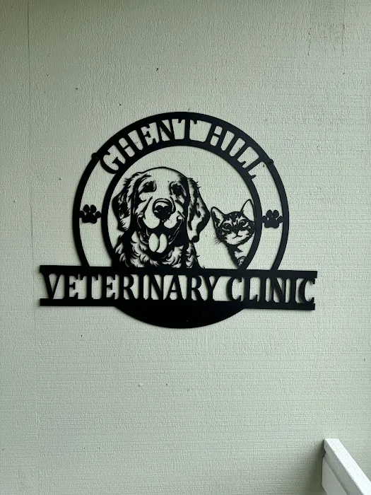 Ghent Hill Veterinary Clinic Picture 10