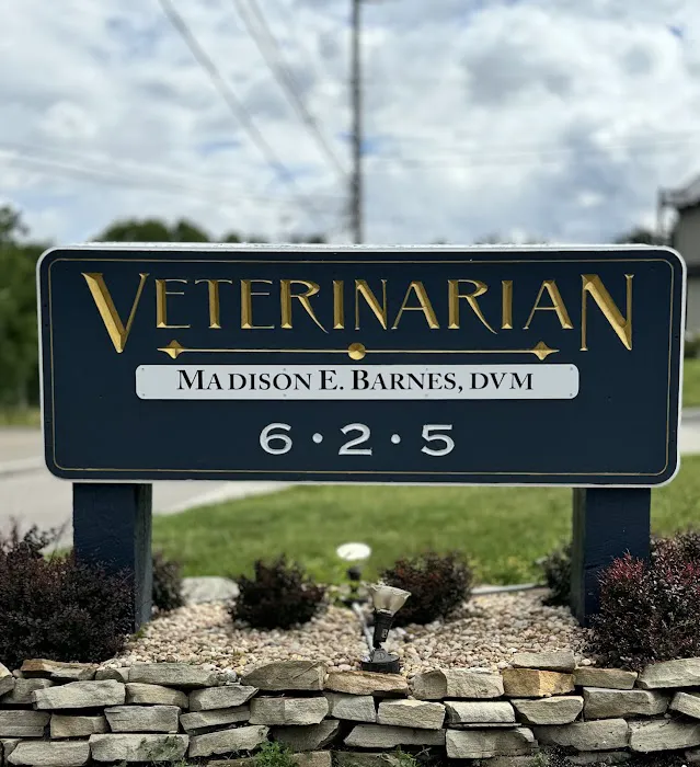 Ghent Hill Veterinary Clinic Picture 9