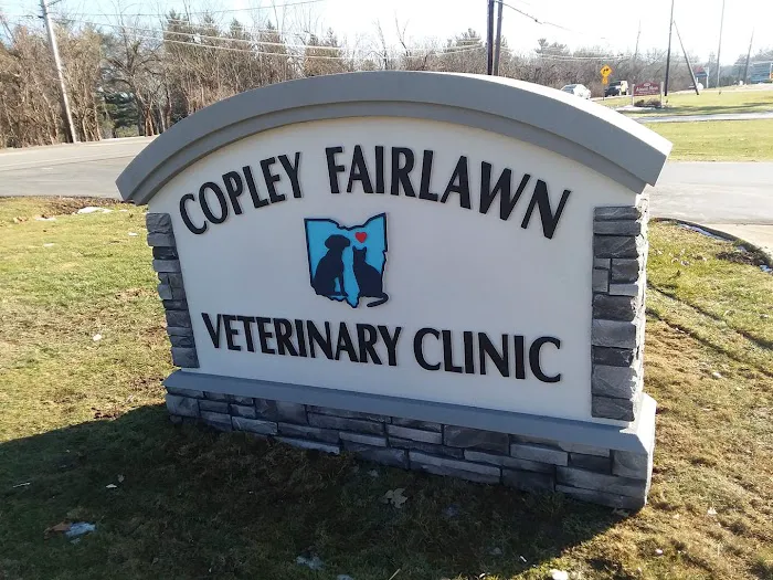 Copley Fairlawn Veterinary Clinic Picture 4