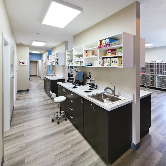 Copley Fairlawn Veterinary Clinic Picture 3