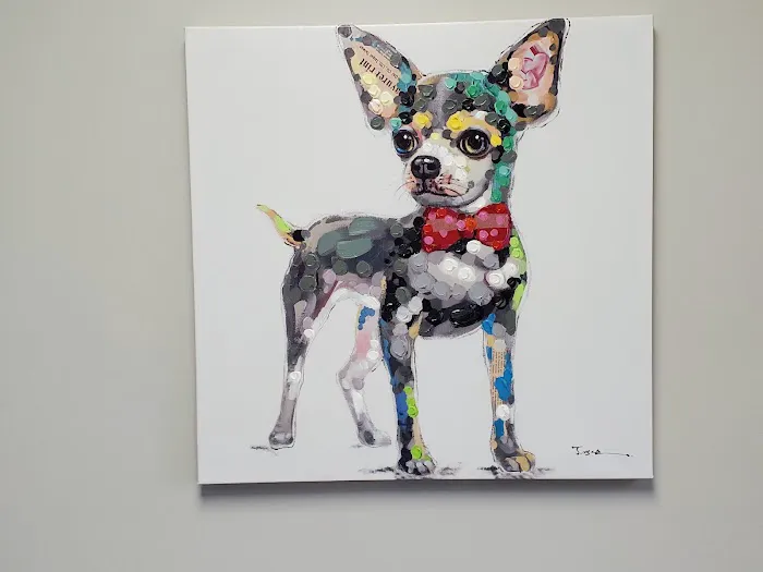 Copley Fairlawn Veterinary Clinic Picture 8