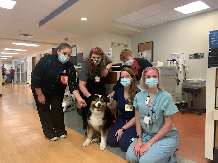 Yellow Creek Veterinary Surgery & Imaging Picture 5