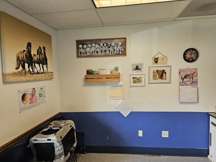 Pet Vet Animal Clinic Picture 6