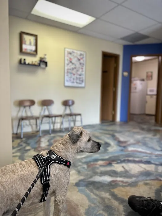 Pet Vet Animal Clinic Picture 9