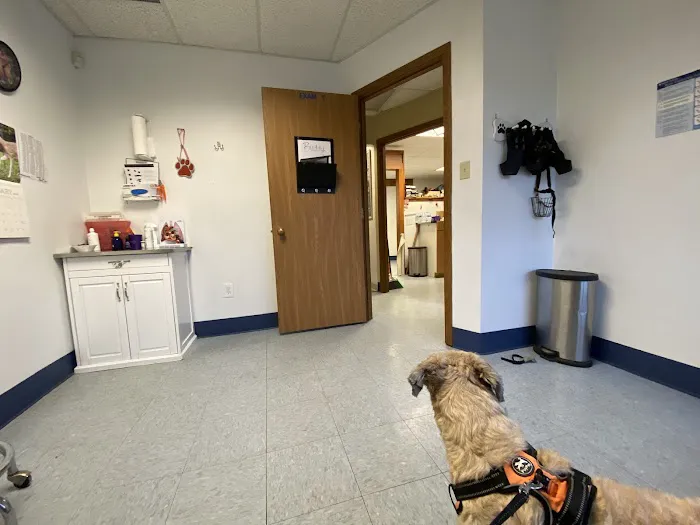 Pet Vet Animal Clinic Picture 7