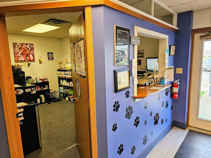 Pet Vet Animal Clinic Picture 10