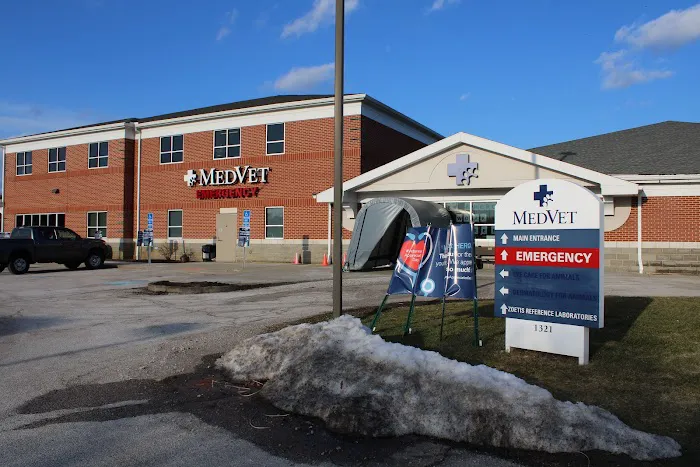 MedVet Akron Picture 1