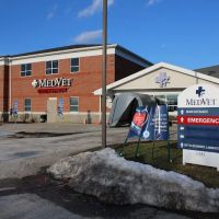 MedVet Akron ico