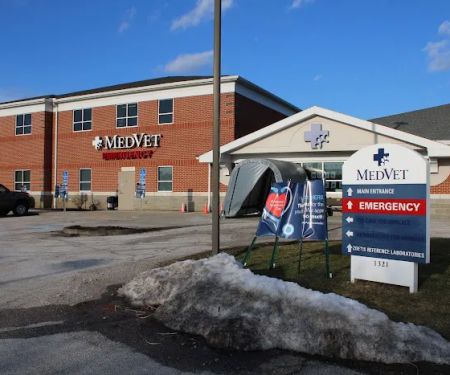 MedVet Akron