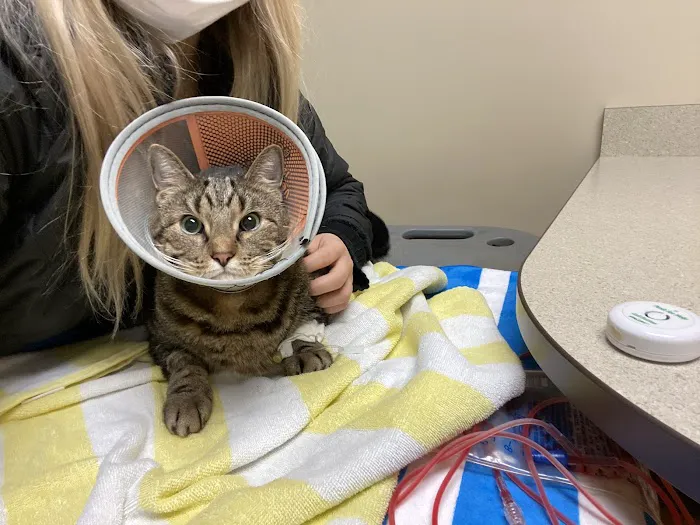 MedVet Akron Picture 2