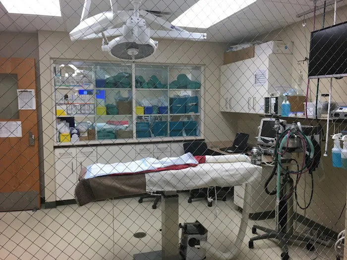 MedVet Akron Picture 7