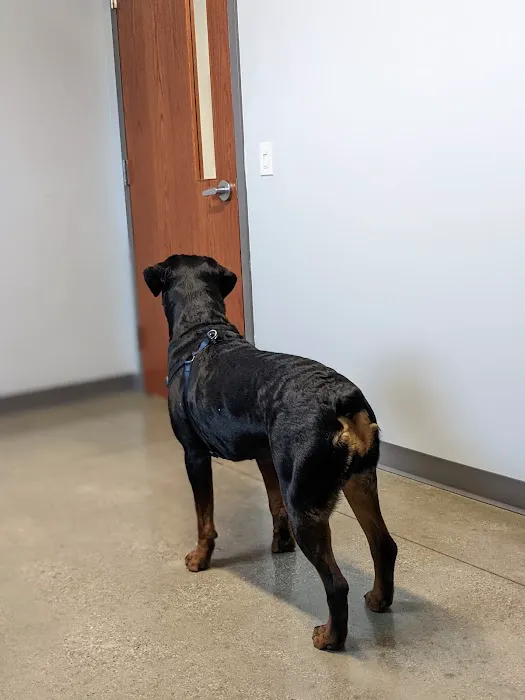 Tremont Animal Clinic Picture 7