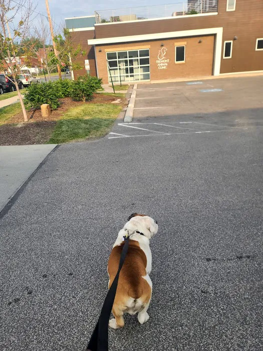 Tremont Animal Clinic Picture 5
