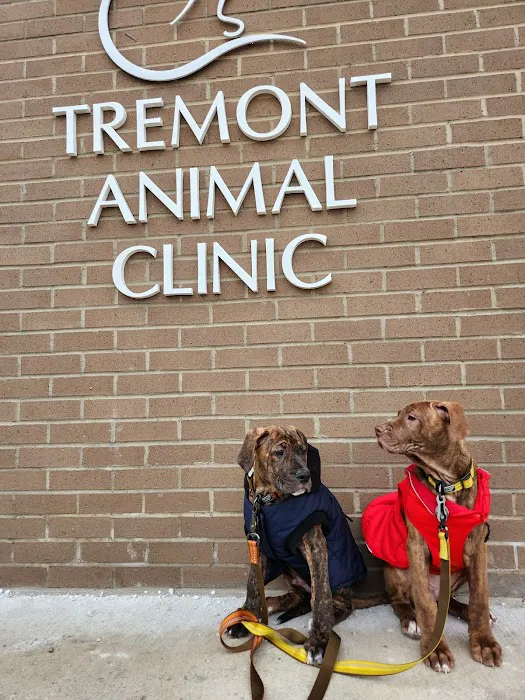 Tremont Animal Clinic Picture 8