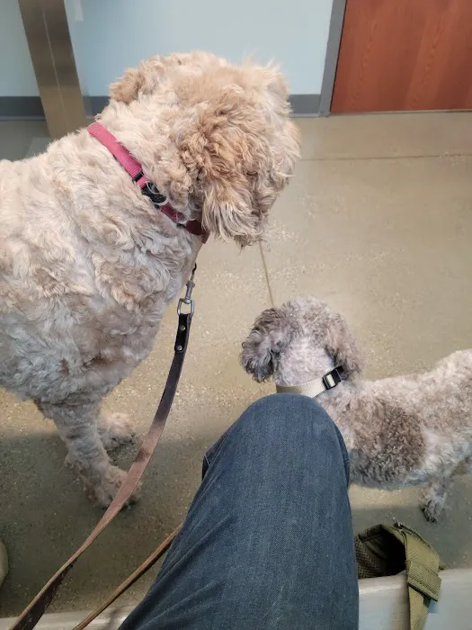 Tremont Animal Clinic Picture 9