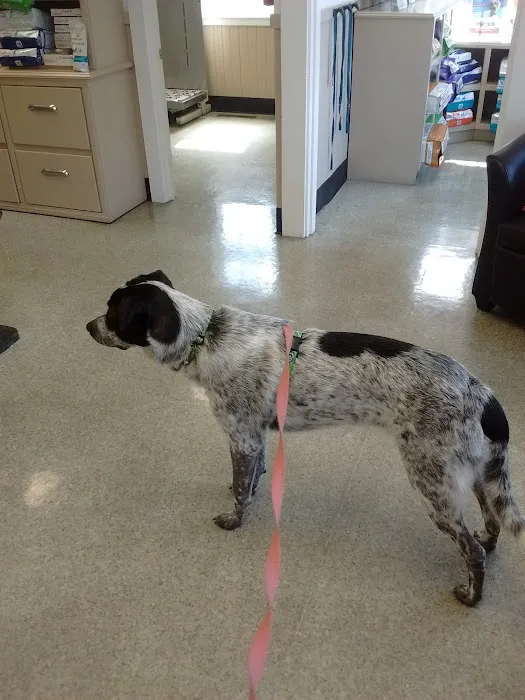 Hamilton Wenham Veterinary Hospital Picture 5