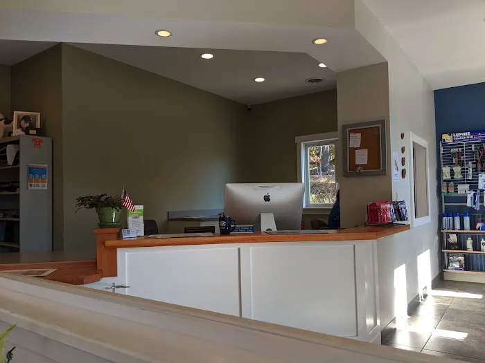 Woodbrook Animal Clinic Picture 9