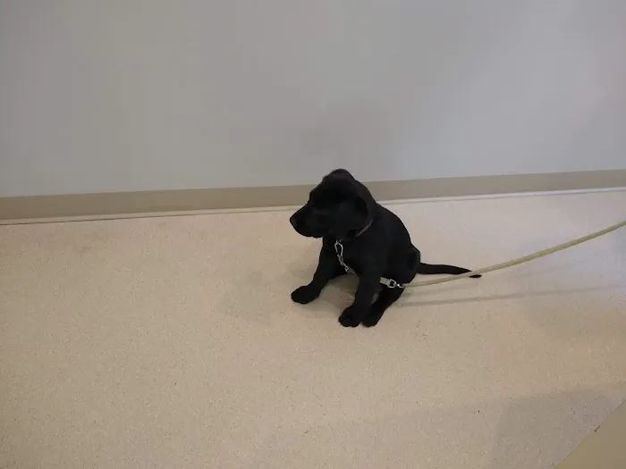Woodbrook Animal Clinic Picture 3