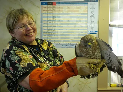 Damariscotta Veterinary Clinic Picture 6