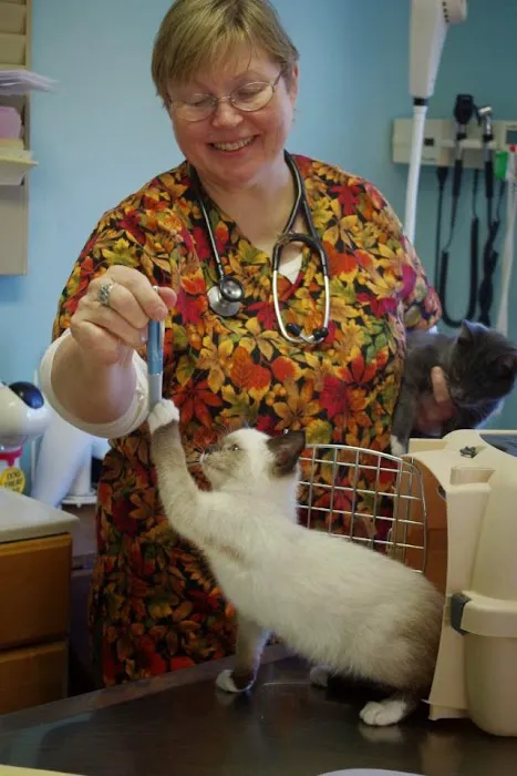 Damariscotta Veterinary Clinic Picture 7